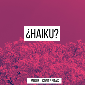 Read more about the article ¿Haikú?