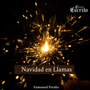 Read more about the article <strong>Navidad en llamas</strong>